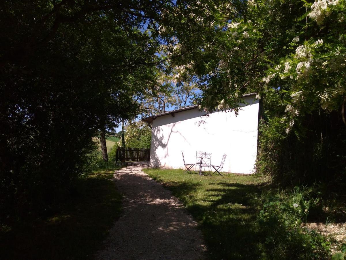 Gite En Pleine Nature Proche Du Lac De La Gimone Saint-Blancard Exterior foto